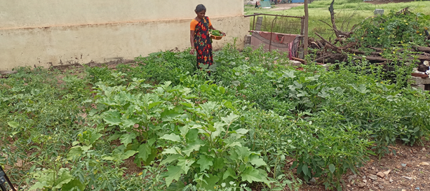  ACC Empowers Rural Women in Karnataka through Kitchen Garden Intervention Program